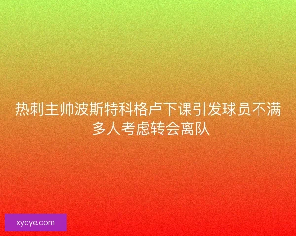 热刺主帅波斯特科格卢下课引发球员不满 多人考虑转会离队 热刺主帅波斯特科格卢下课引发球员不满 多人考虑转会离队
