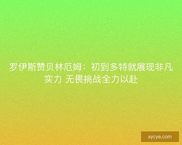 罗伊斯赞贝林厄姆:初到多特就展现非凡实力 无畏挑战全力以赴 罗伊斯赞贝林厄姆:初到多特就展现非凡实力 无畏挑战全力以赴
